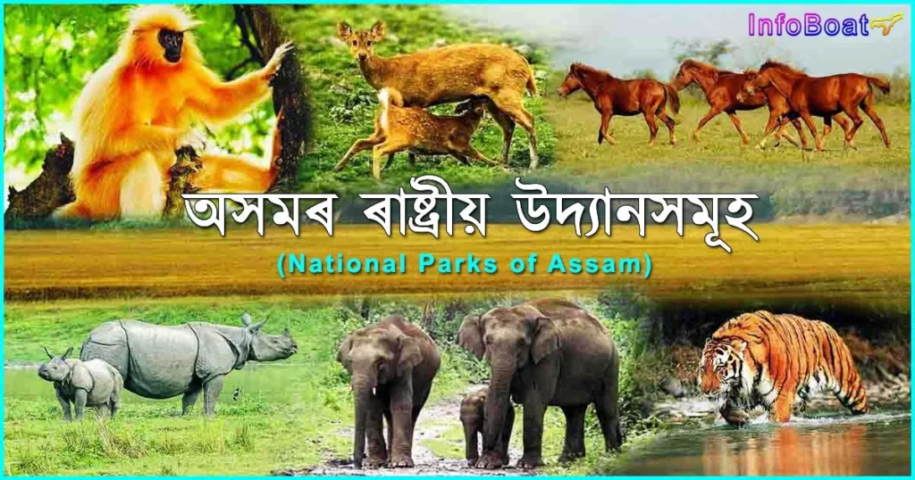 National Parks of Assam || অসমৰ ৰাষ্ট্ৰীয় উদ্যান