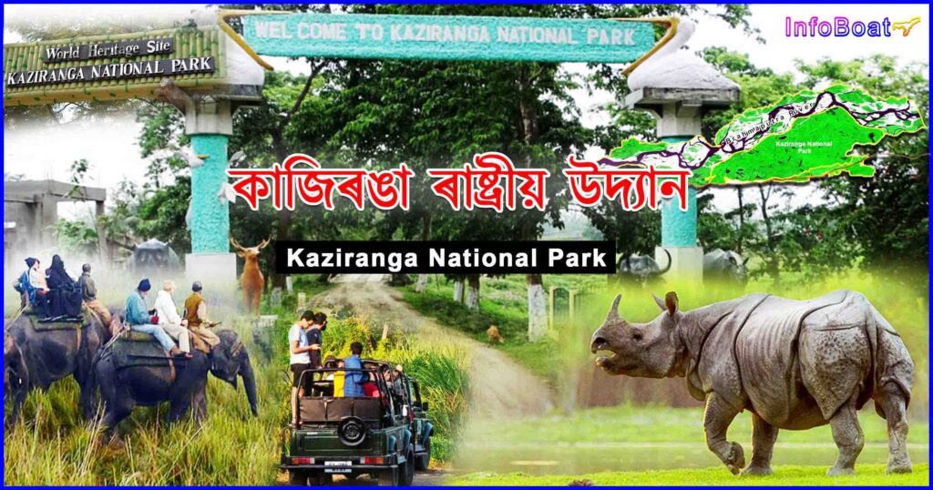 kaziranga national park || কাজিৰঙা ৰাষ্ট্ৰীয় উদ্যান
