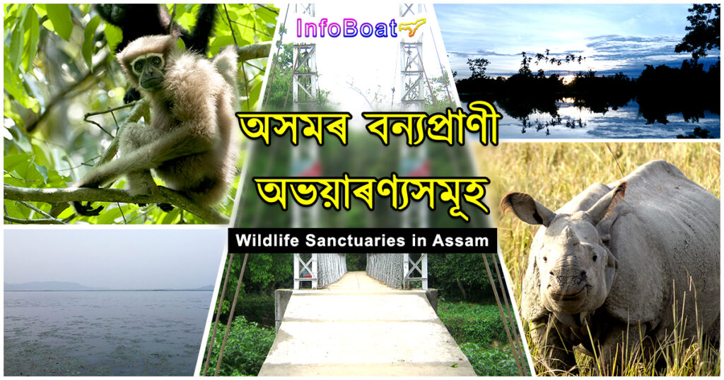 Wildlife Sanctuaries in Assam